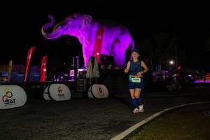 BIB: 
                            <button type="button" onclick="openModal(26534261)" class="btn btn-primary btn-sm float-right btn-popup" data-toggle="modal" data-target=".modal-high-quality">
                        <i class="fas fa-shopping-cart"></i> Add to Cart
                    </button>
                                            <button type="button" onclick="isThisMe(26534261, true)" class="btn btn-success btn-sm float-right btn-popup btn-isme hidden" data-toggle="tooltip" data-placement="bottom" title="นี่คือรูปของคุณใช่ไหม คลิกที่นี่เพื่อเอาเข้าอัลบั้ม">
                        <i class="fas fa-plus"></i> Add to album
                    </button>
                    <button type="button" onclick="isThisMe(26534261, false)" class="btn btn-warning btn-sm float-right btn-popup btn-isnotme hidden">
                        <i class="fas fa-ban"></i> Remove from album
                    </button>